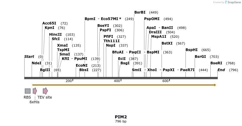 52743_map