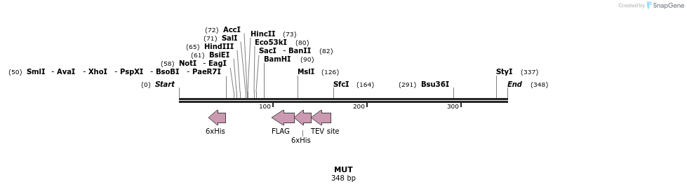 52747_map