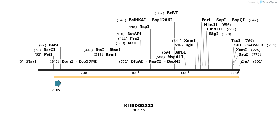 52749_map