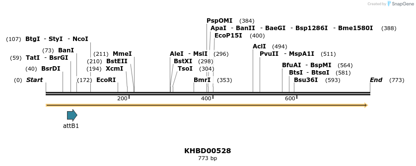 52750_map