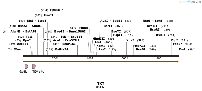 52751_map