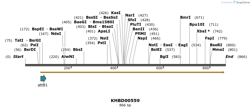 52755_map