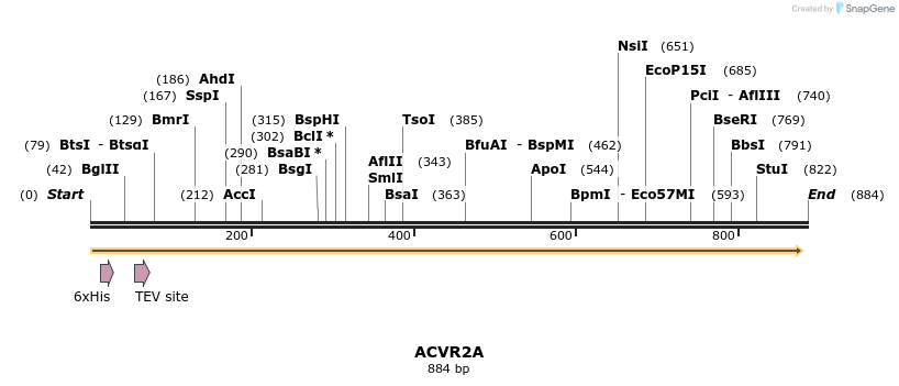 52757_map