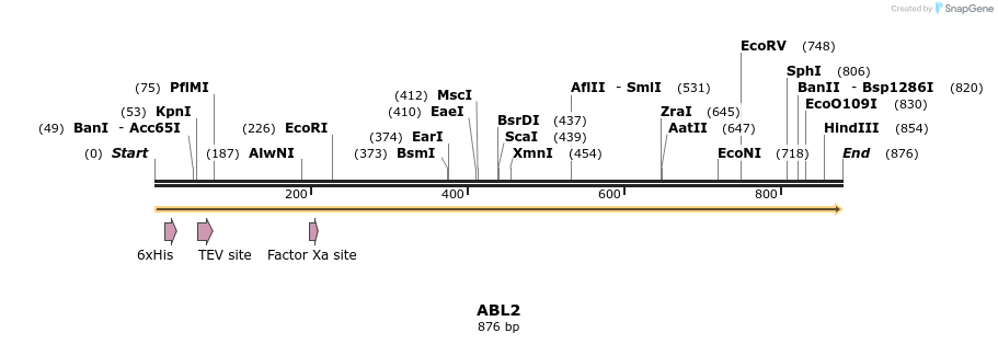 52761_map