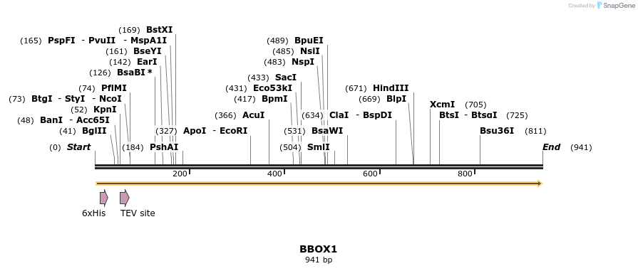 52762_map