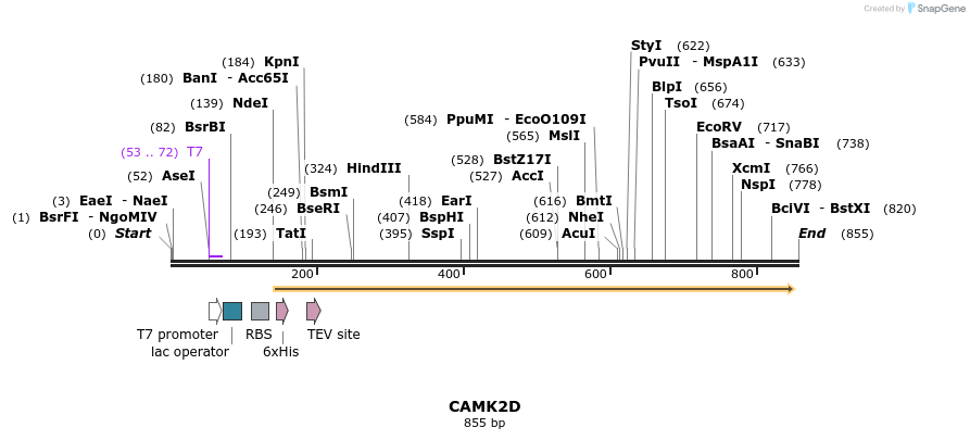 52764_map