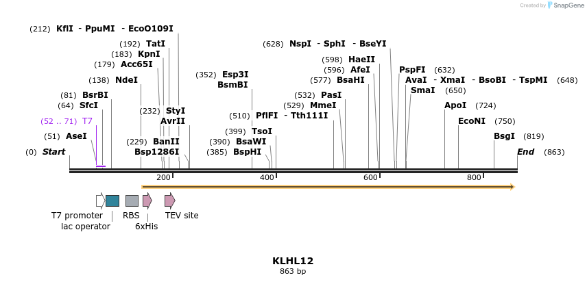 52765_map