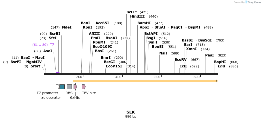 52768_map