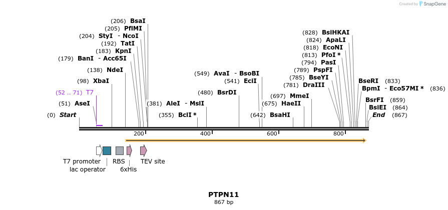 52769_map