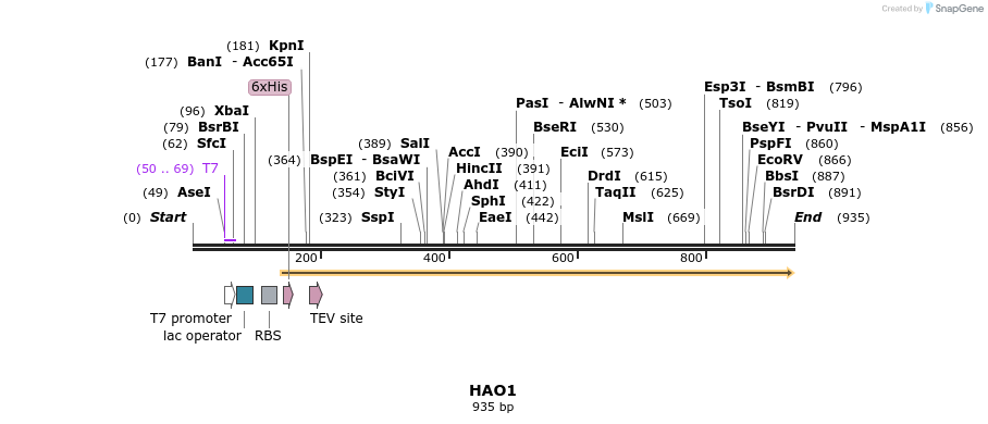 52772_map