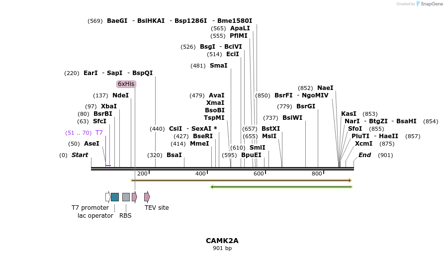 52773_map