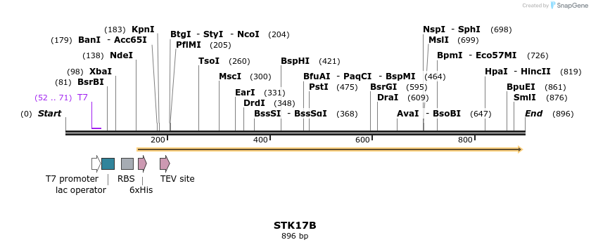52777_map