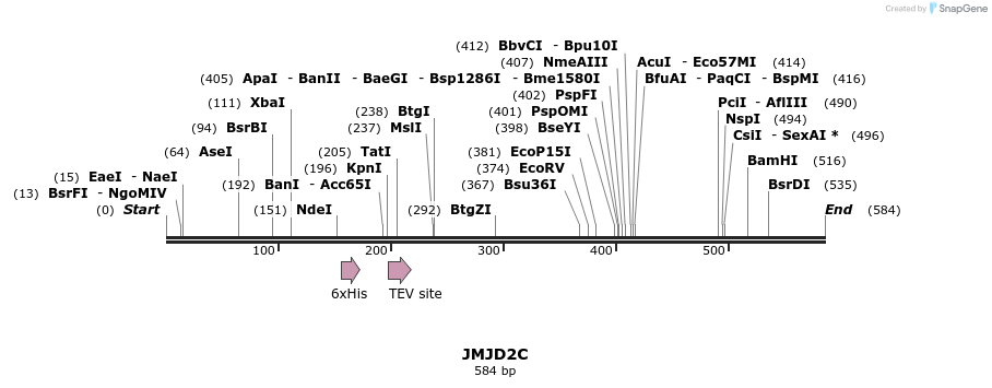 52779_map