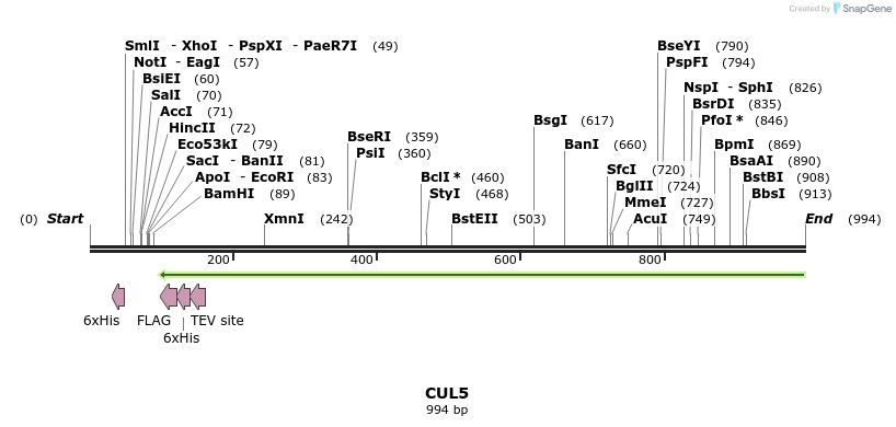 52781_map
