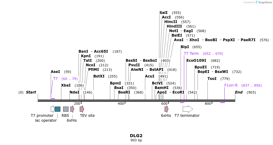 52786_map