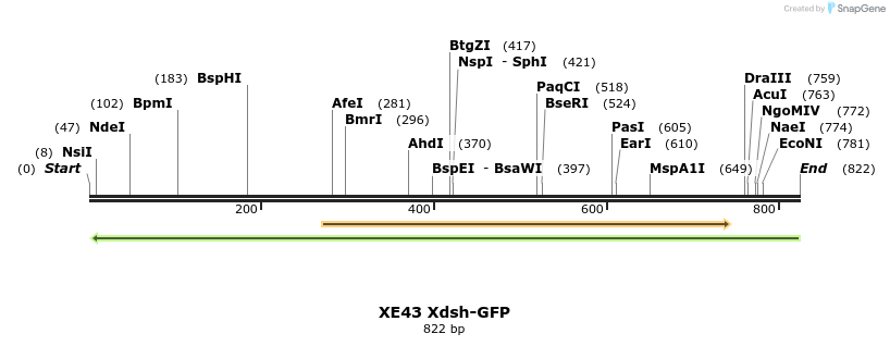 52788_map