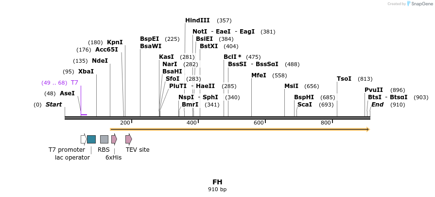 52790_map