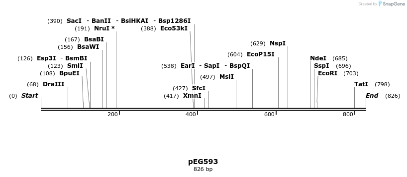 52791_map