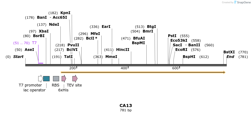 52794_map