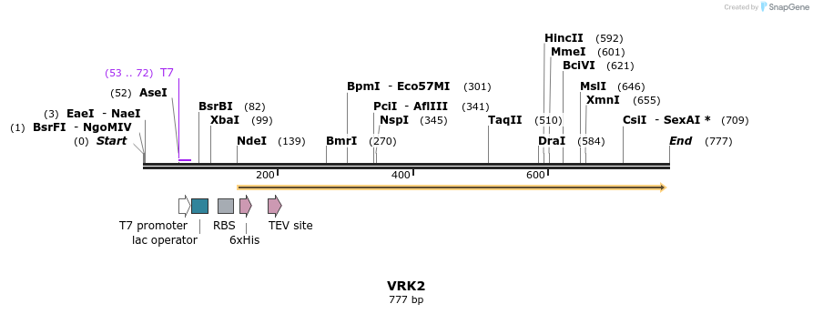 52797_map