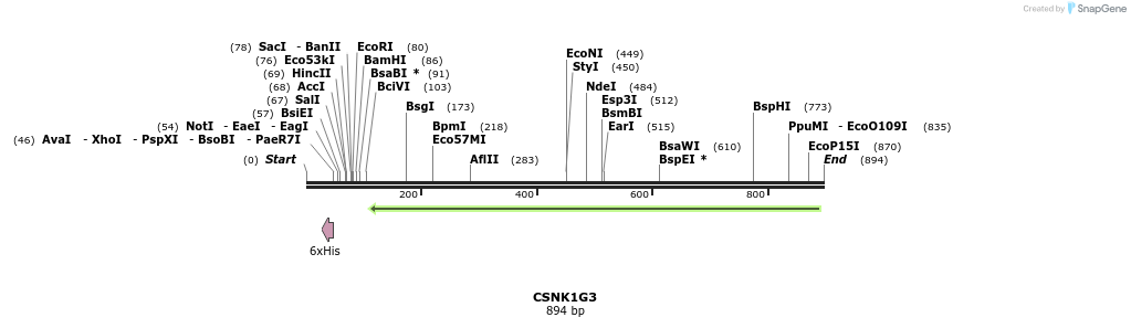 52800_map