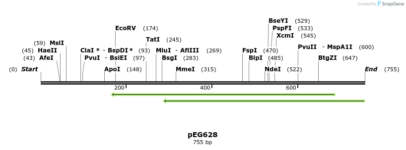 52808_map