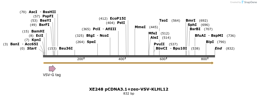 52809_map