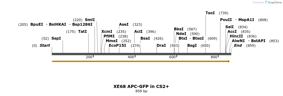 52810_map