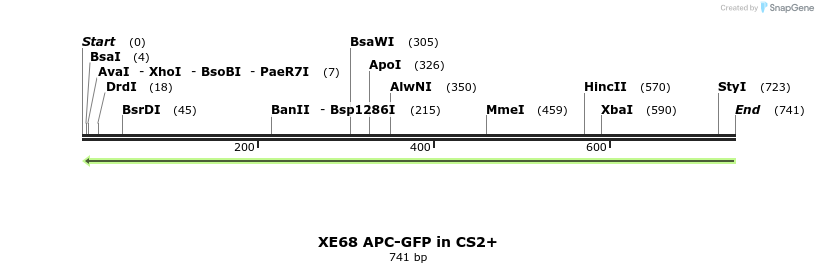 52811_map