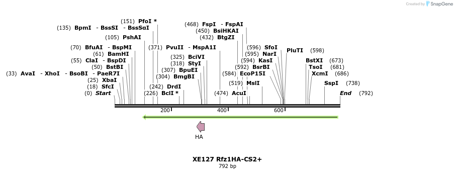 52816_map