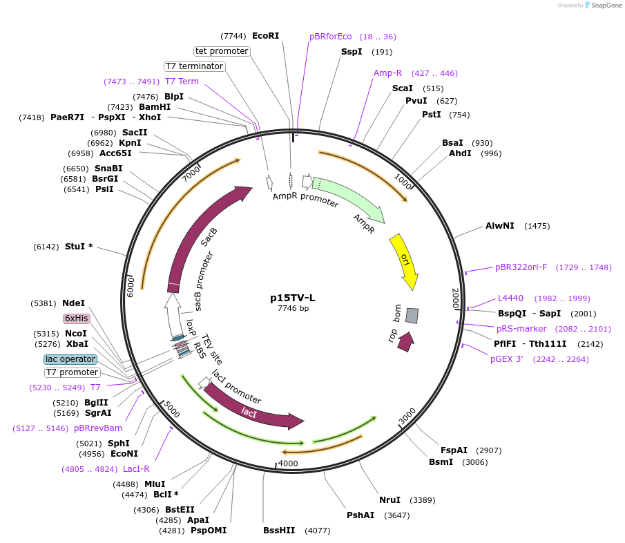 52817_map