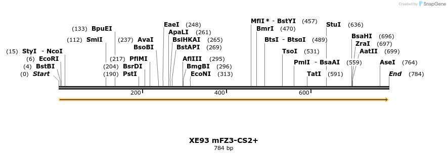 52818_map