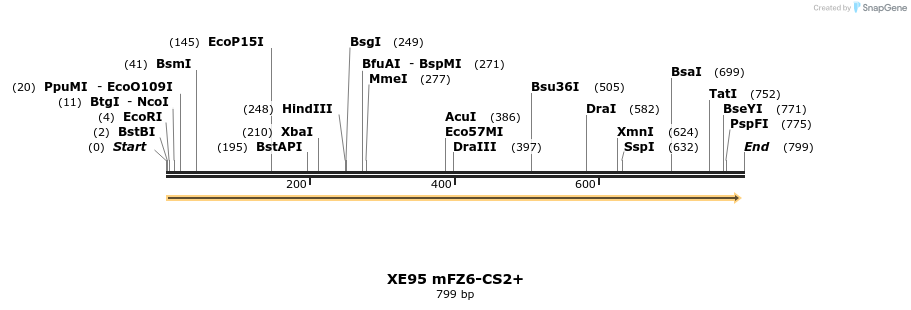 52819_map