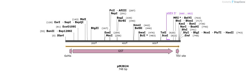 52820_map
