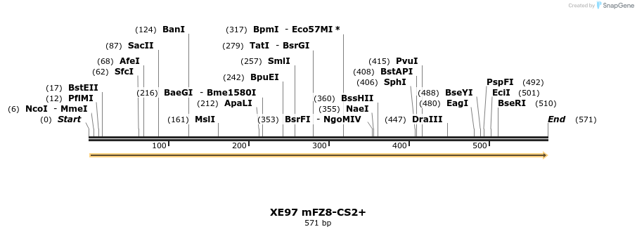 52821_map