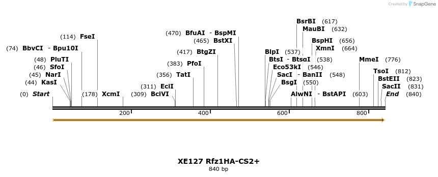 52826_map