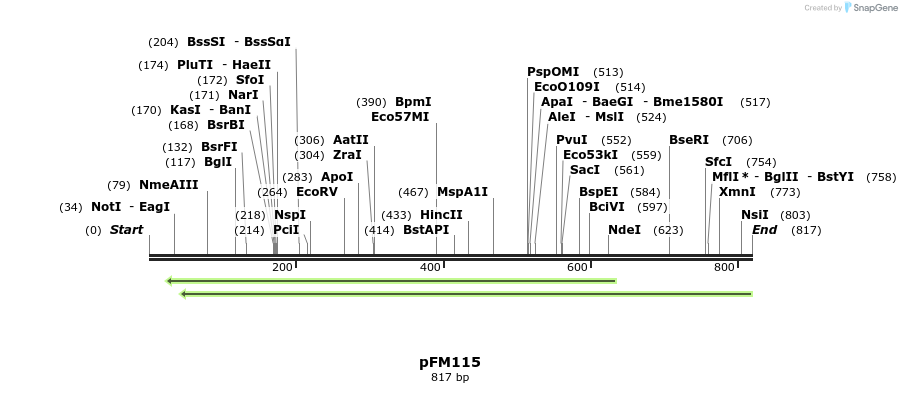 52828_map