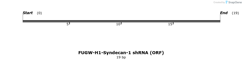 52832_map