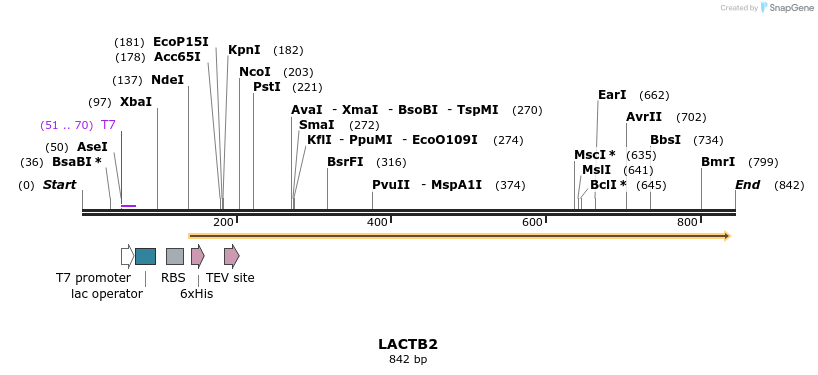 52843_map
