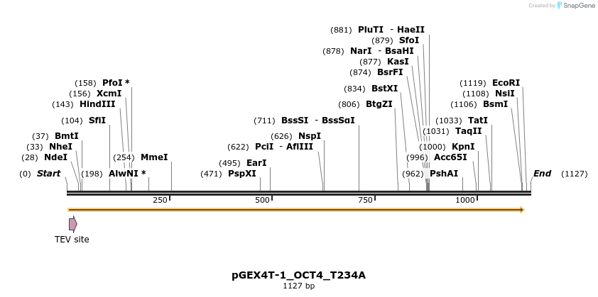 52858_map