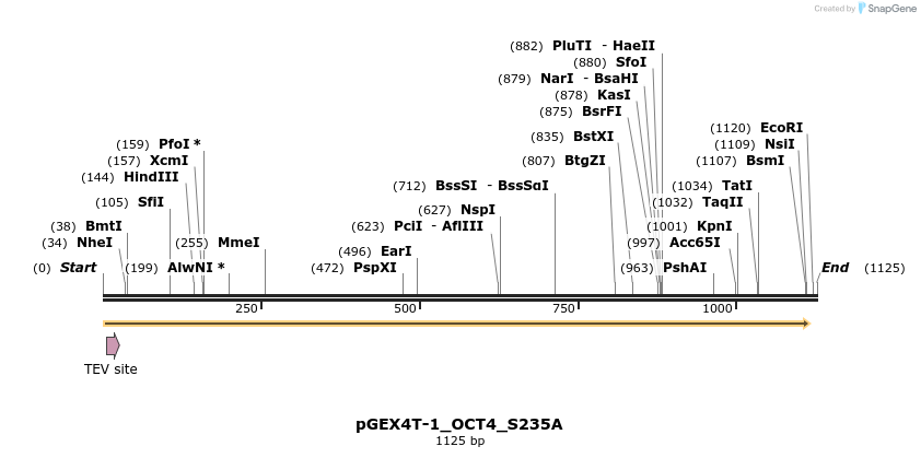 52861_map