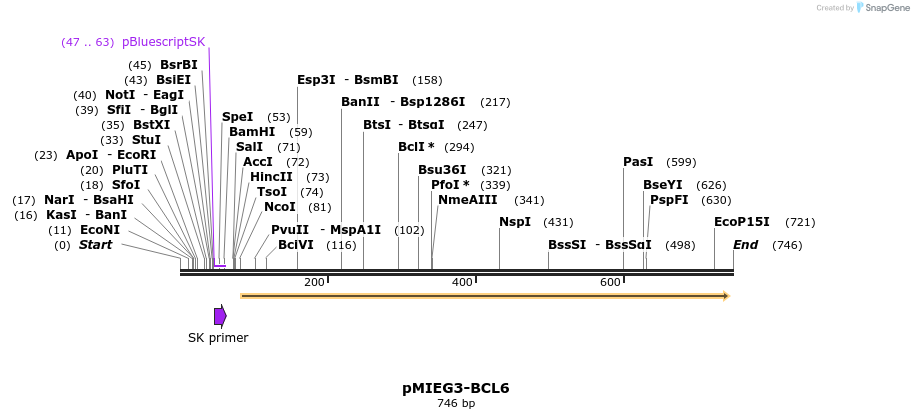 52863_map
