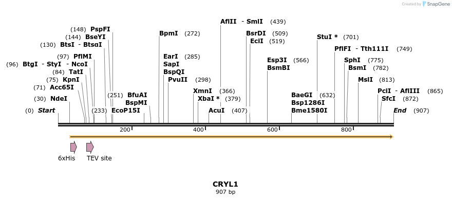 52872_map