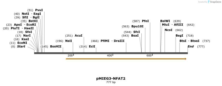 52880_map