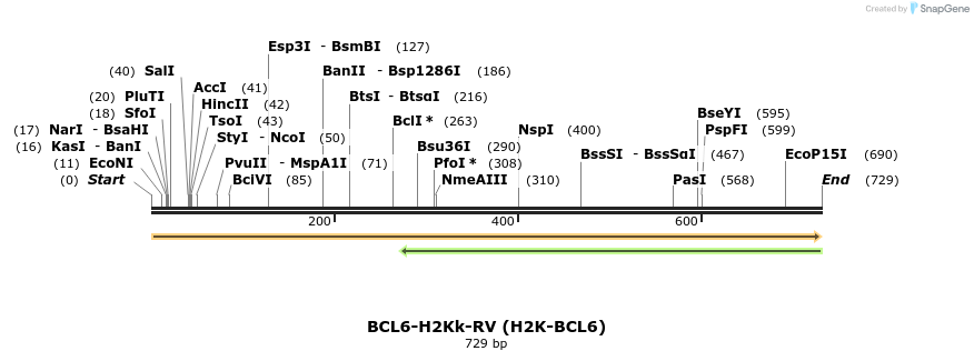52881_map