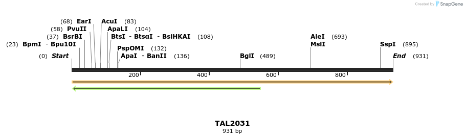 52882_map