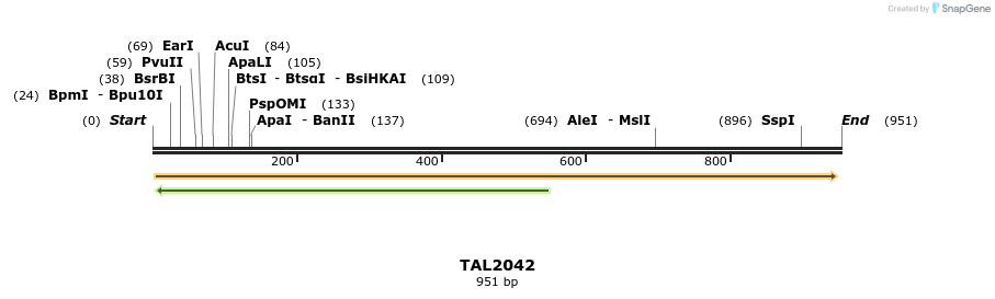 52884_map