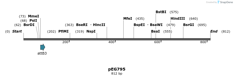 52886_map