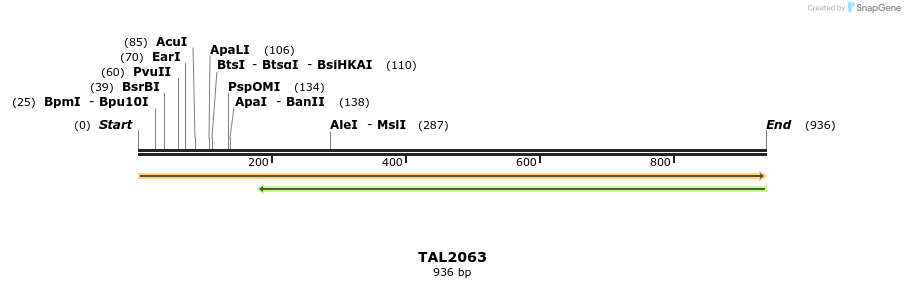 52887_map