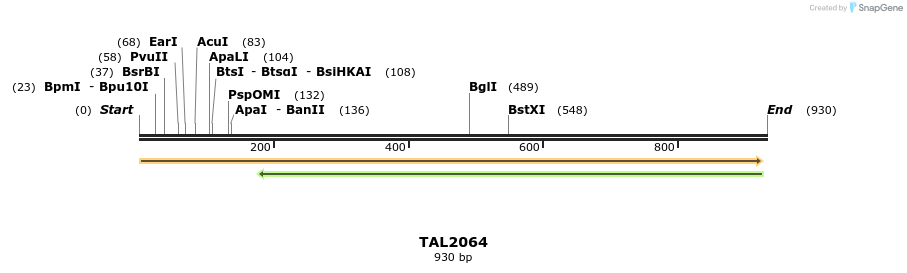 52890_map
